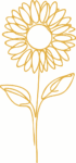 Asset 40flower3